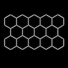 NORTHLUMEN® 14-Grid Hexagon LED-valosarja